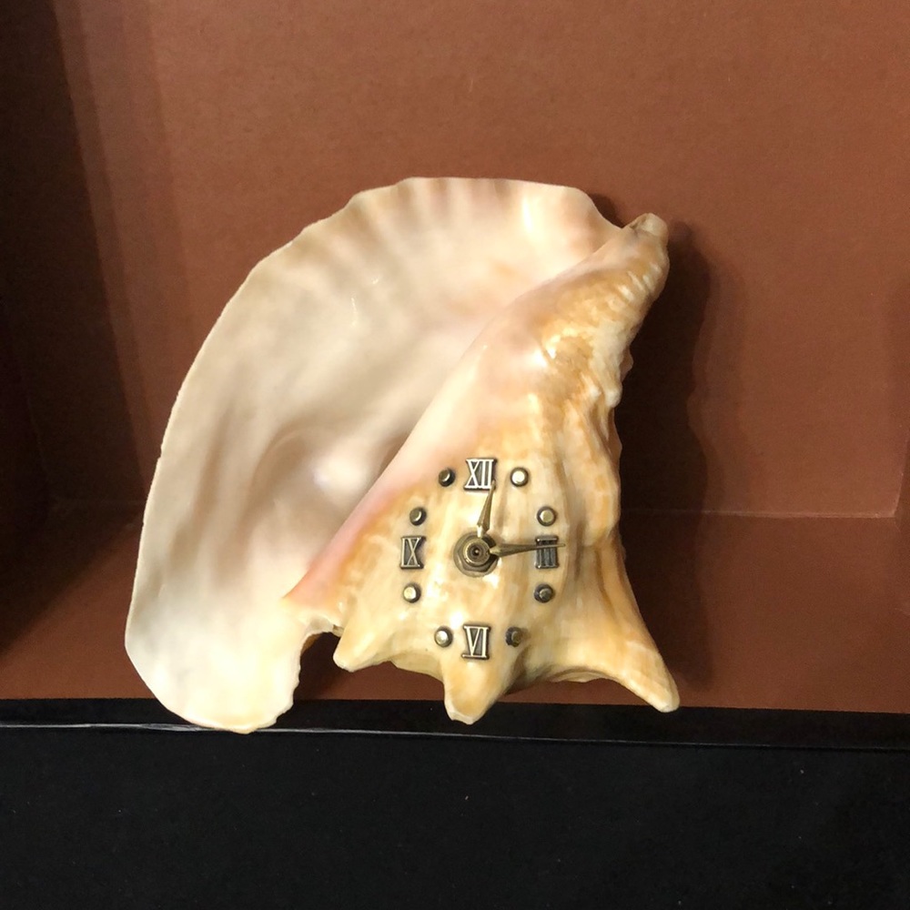 VINTAGE NICE SHELL 🐚 WATCH DECORATION